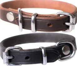 Active Canis Leather Collar koiran nahkapanta, 55 - 60 cm