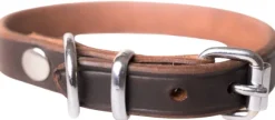 Active Canis Leather Collar koiran nahkapanta, 55 - 60 cm