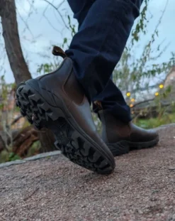 Avignon Coober Jodhpurs Läder Dark Brown