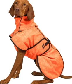 Back on Track Bark koiran takki, 25-35 cm, Orange