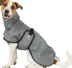 Back on Track Bark koiran takki, 55-65 cm, Grey