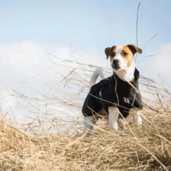 Back on Track Bark koiran takki, 70-90 cm, Black