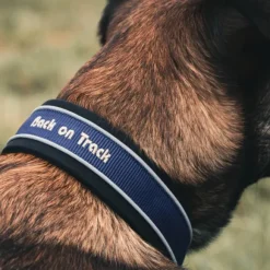 Back on Track Charlie kaulapanta, sininen 40-50 cm