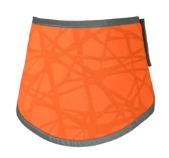Back on Track Draco koiran huomiohuivi, oranssi S-XL
