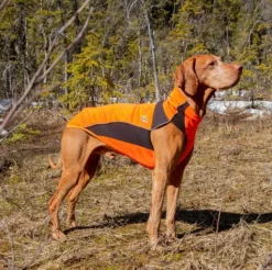 Back on Track Eddie koiran fleecepaita, oranssi 45 cm