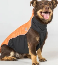 Back on Track Eddie koiran fleecepaita, oranssi 30-35 cm