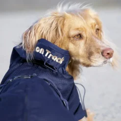 Back on Track koiran verkkotakki, sininen 27-40 cm