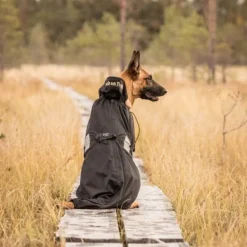 Back on Track koiran verkkotakki, musta 27-40 cm