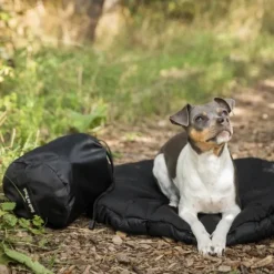 Back on Track ovaali koiran matkapeti, musta 80 x 100 cm