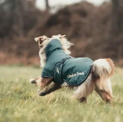 Back on Track Sunny koiran takki, vihreä 70-80 cm