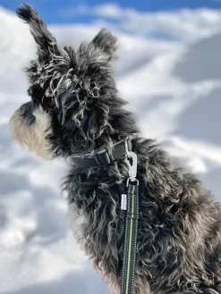 Baggen Expanderkoppel BGB joustollinen hihna, 2,8 m