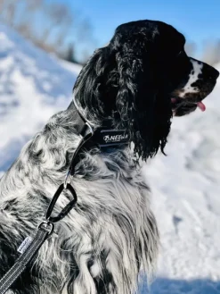 Baggen Koppel Twistlock talutushihna, 1,9m, harmaa