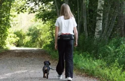 Baggen Nova Softbelt vyölaukku