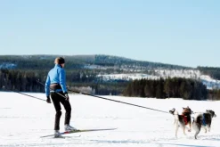 Baggen Softbelt Race harmaa