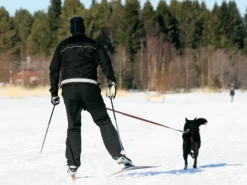 Baggen Softbelt Reflex