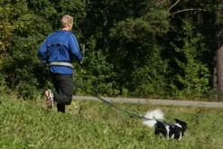 Baggen Softbelt Reflex