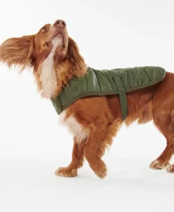 Barbour Baffle koiran tikkitakki, oliivinvihreä