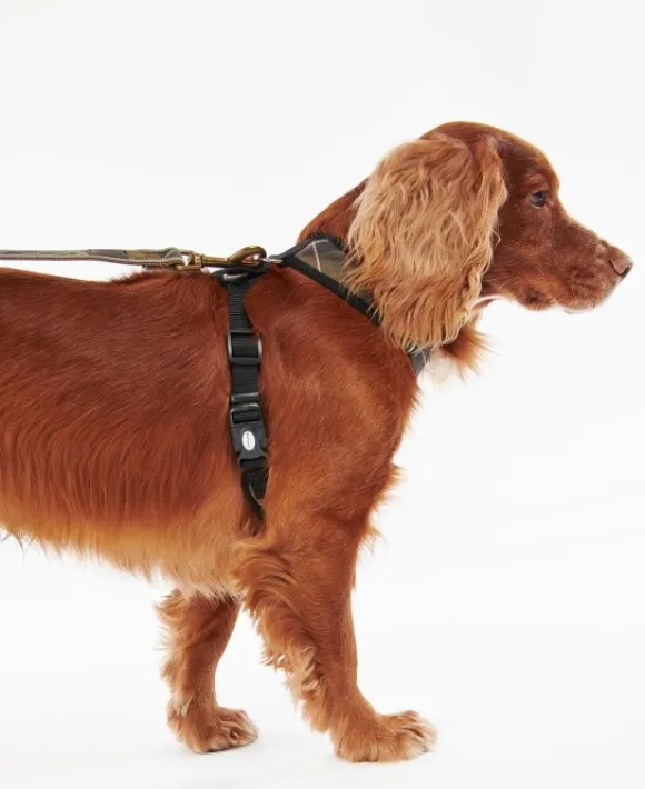 Barbour -koiranvaljaat, Classic Tartan