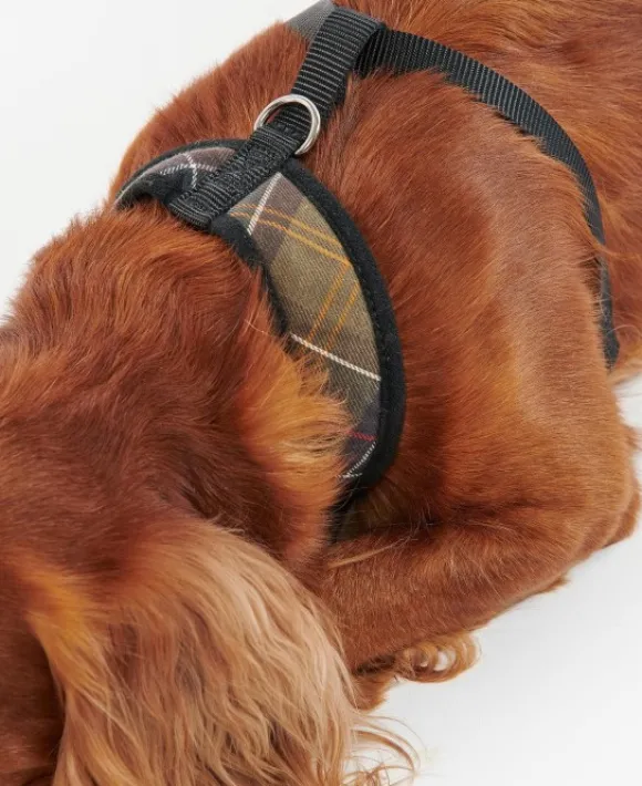 Barbour -koiranvaljaat, Classic Tartan