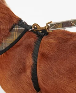 Barbour -koiranvaljaat, Classic Tartan