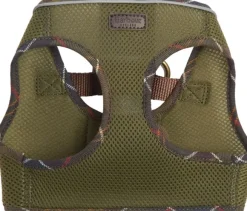 Barbour -koiranvaljaat, oliivinvihreä