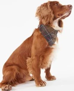 Barbour Tartan koiran kaulahuivi, Classic Tartan