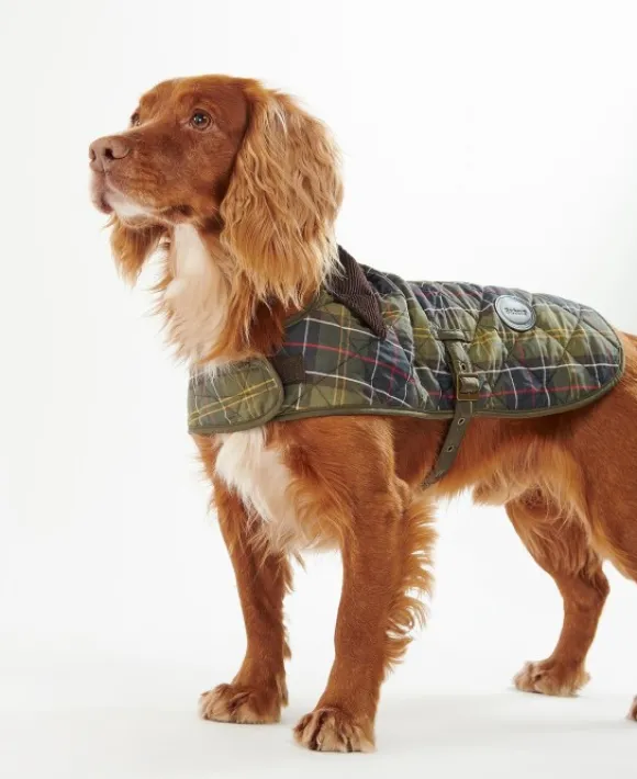 Barbour Tartan koiran tikkitakki, Classic Tartan