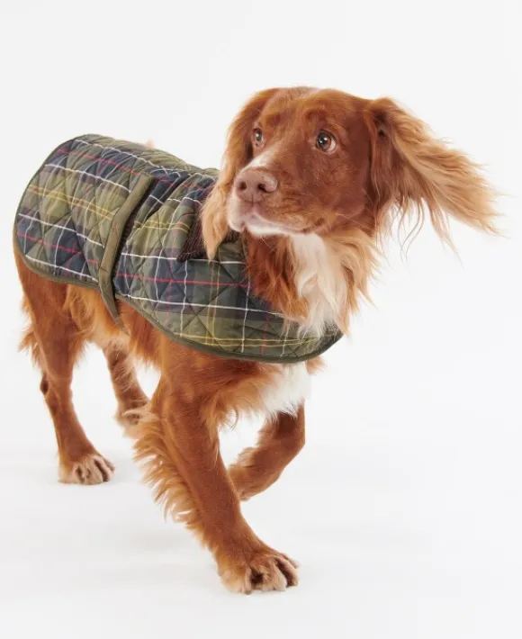 Barbour Tartan koiran tikkitakki, Classic Tartan