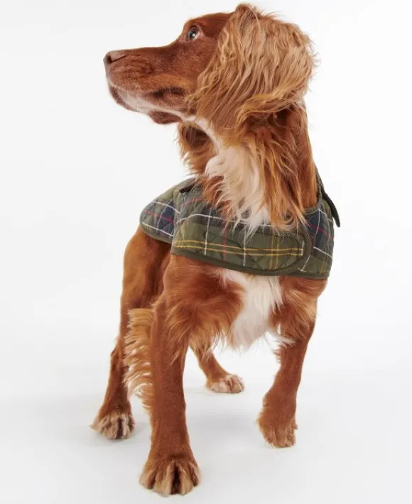 Barbour Tartan koiran tikkitakki, Classic Tartan