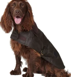 Barbour Wax Dog Coat Olive