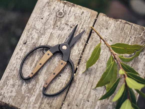 Barebones Garden Scissors Small puutarhasakset, Wallnut