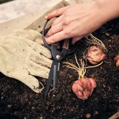 Barebones Garden Scissors Small puutarhasakset, Wallnut
