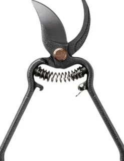 Barebones Pruner oksasakset kotelolla