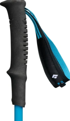 Black Diamond Distance Carbon FLZ Poles Desert Sky