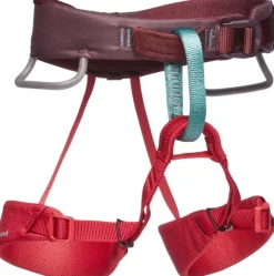 Black Diamond Kids Momentum Harness Wild Rose