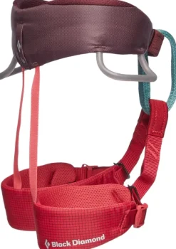 Black Diamond Kids Momentum Harness Wild Rose
