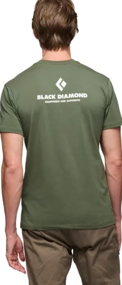 Black Diamond M Equipment For Alpinist SS Tee t-paita, vihreä