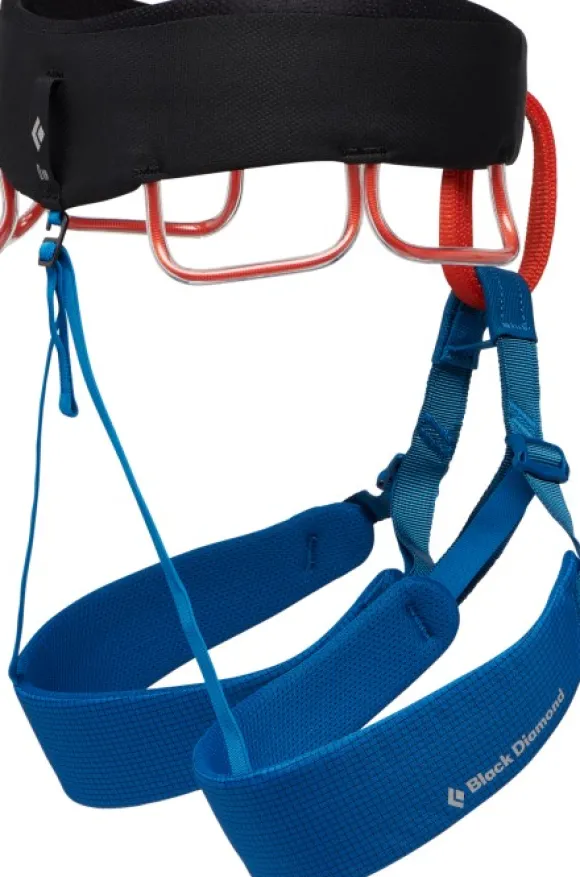 Black Diamond Momentum Harness Kingfisher kiipeilyvaljaat