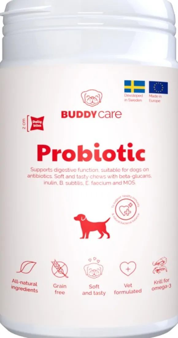 Buddy Care Probiotic lisäravinne