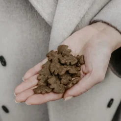 Buddy Crunchy Snack lohi ja mustikka, 150 g