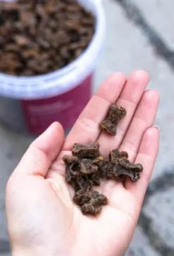 Buddy Training Snacks Venison makupalat, 100g