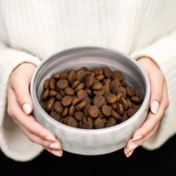 Buddy Chicken & Lamb Feast kuivaruoka, näytepussi, 100 g