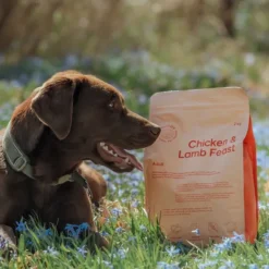 Buddy Chicken & Lamb Feast kuivaruoka, 12 kg