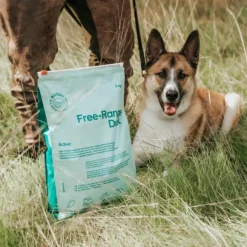 Buddy Free-Range Duck kuivaruoka, 12kg