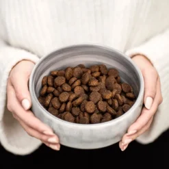 Buddy Grass-Fed Lamb kuivaruoka, 2 kg