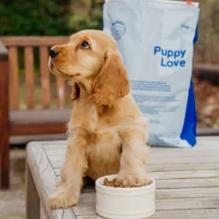 Buddy Puppy Love pentujen kuivaruoka, 2 kg