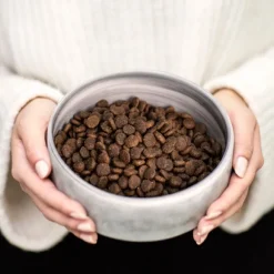 Buddy Puppy Love pentujen kuivaruoka, 2 kg