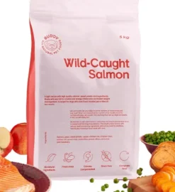 Buddy Wild Caught Salmon kuivaruoka, 12 kg