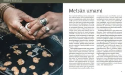 Calazo Herkuttelijan sienikirja