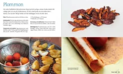 Calazo Torka Mat 2:a upplagan - kuivata raaka-aineita ,toinen painos